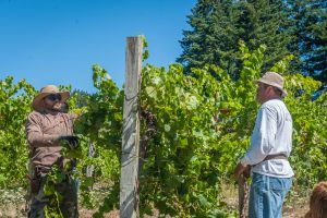 Vineyard Crew Image