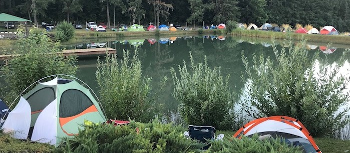 Tents by the Pond Image